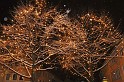 Winterimpressionen   053